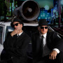 The Blues Brothers are back - 12.02.14 - Kat. B