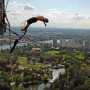 Bungee-Sprung aus 152 Metern vom Donauturm Wien