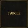 Jungle - 19.11.14 - Stehplatz