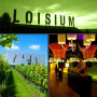 Loisium Wine & Spa Resort - Lazy Sunday