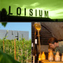 Loisium Weinerlebniswelt - Private Wine Tasting - 22.05.15