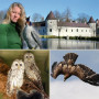 Greifvogelzentrum Schloss Waldreichs - Eintrittskarte EW