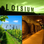Loisium Weinerlebniswelt - Weinproben Special