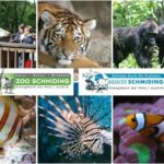 Zoo & Aqua Schmiding - Eintritt Kind